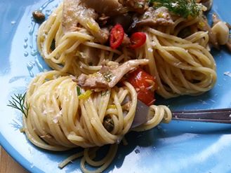 spaghetoni cu ciuperci si ton