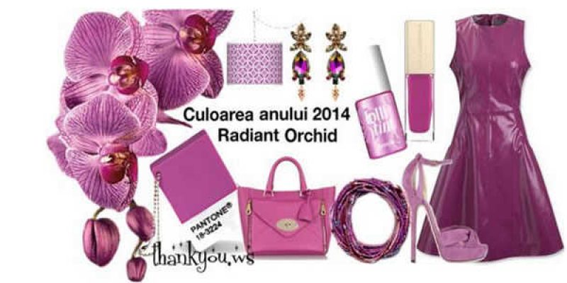 Culoarea anului 2014 – RADIANT ORCHID