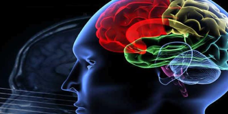 Rolurile au fost împărțite! Ce reprezintă subpersonalitățile?