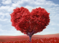 Where is the Love?