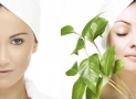 Remedii naturale pentru acnee
